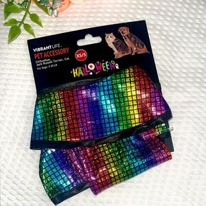 - 🌈- Vibrant Halloween Pet Accessory - Multicolor